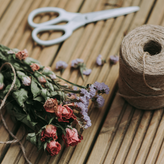 Art Adventures with Paula